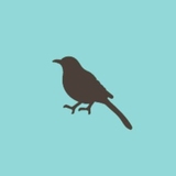 Tequila Mockingbird logo